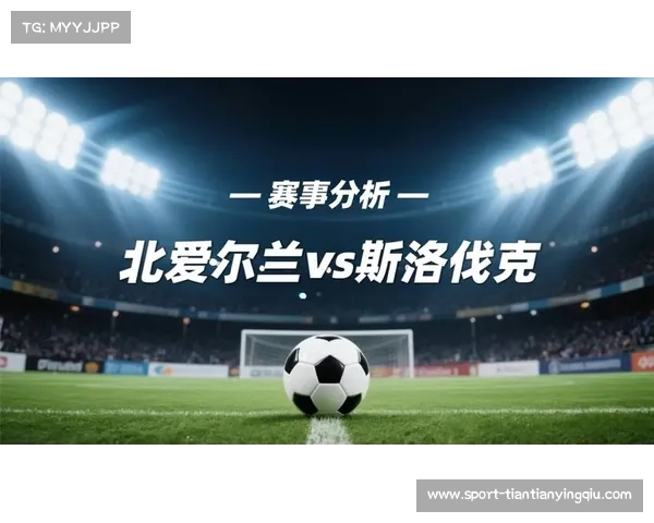 斯洛伐克1-0绝杀北爱尔兰，波切克补时破门保留小组头名希望